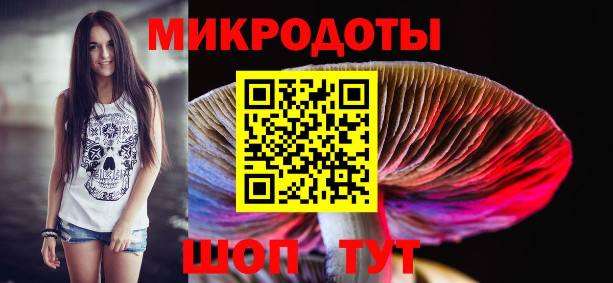 Ливны  Галлюциногенные грибы Cubensis  Вход с VPN 