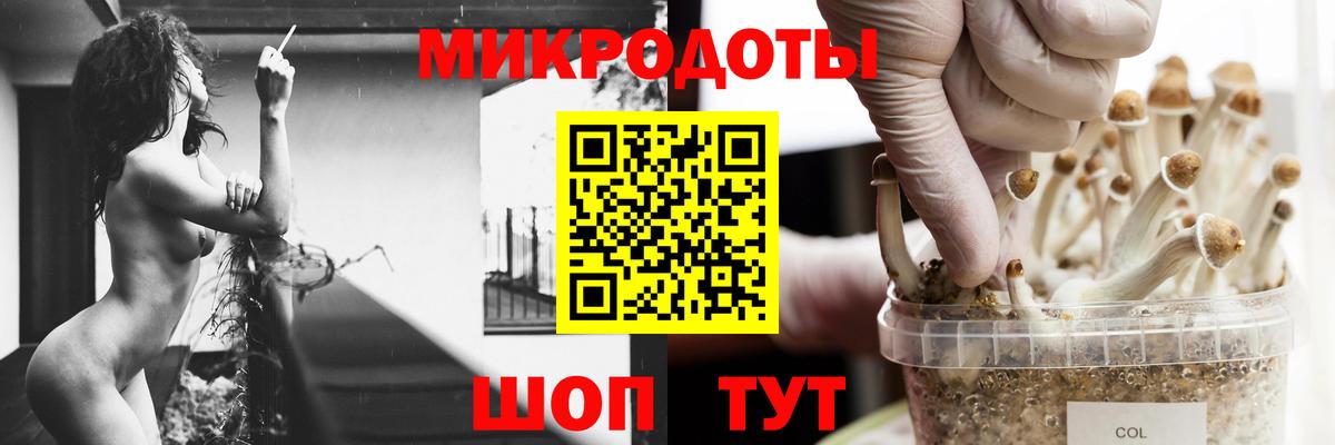 Псилоцибиновые грибы мицелий Ливны